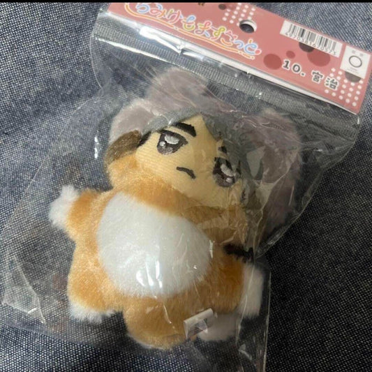 Haikyuu!! Haikyu Osamu Miya Mini Plush w/ Ballchain Chimikemo Animal Furry Fox