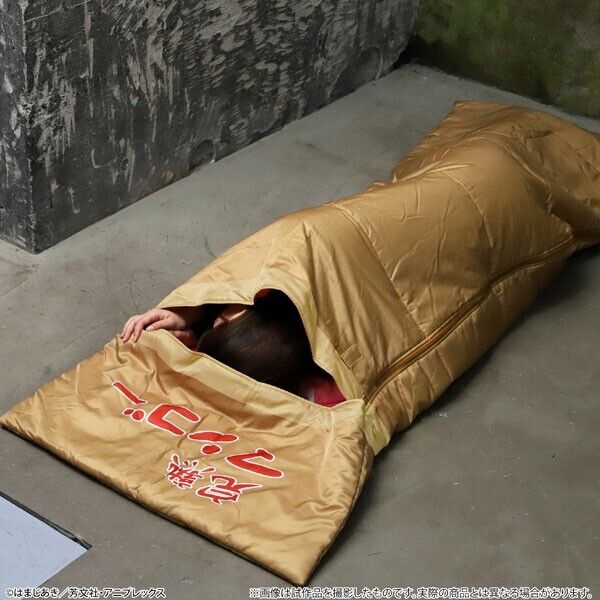 BOCCHI THE ROCK Hitori Gotoh Cardboard Box Style Sleeping Bag Japan Limited