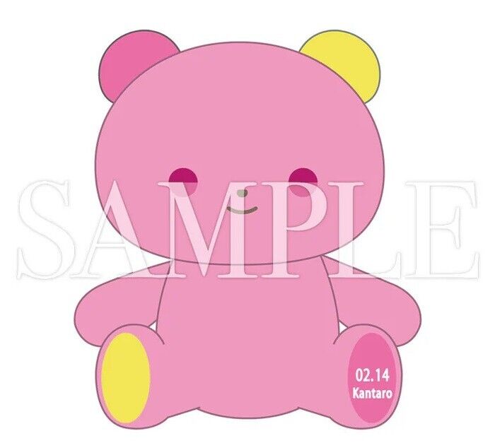 Paradox Live BIRTHDAY BEAR VISTY Kantaro Misuji Plush 2024 Japan Limited