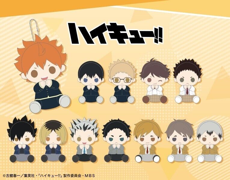 Haikyuu!! Haikyu Shoyo Hinata Pitanui Snuggle Plush w/ Ballchain Japan Limited