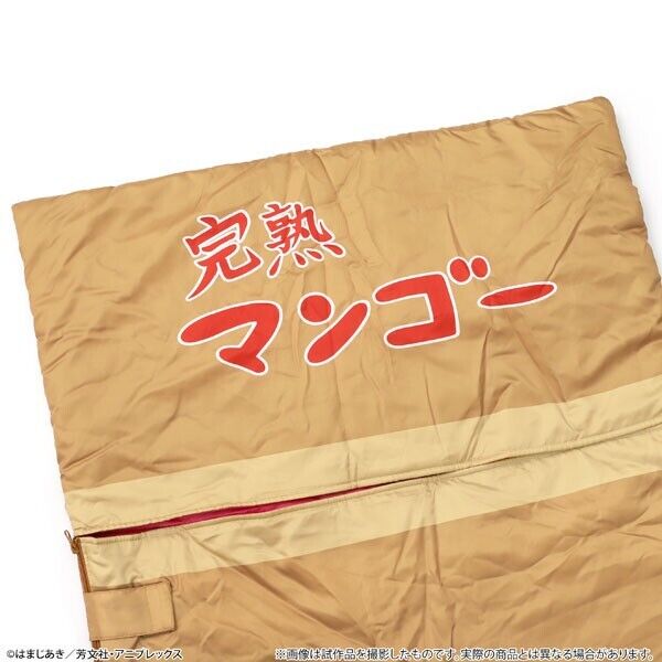 BOCCHI THE ROCK Hitori Gotoh Cardboard Box Style Sleeping Bag Japan Limited